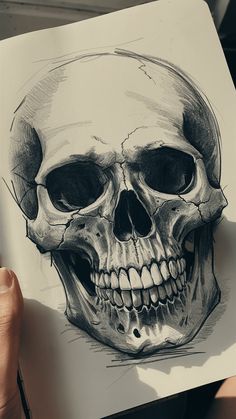 a drawing of a human skull in black and white