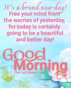 good morning card with water lilies on the bottom and words below that reads, it's a brand new day free your mind from the worries of yesterday for today