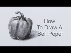 a pencil drawing of a bell pepper with the words how to draw a bell pepper