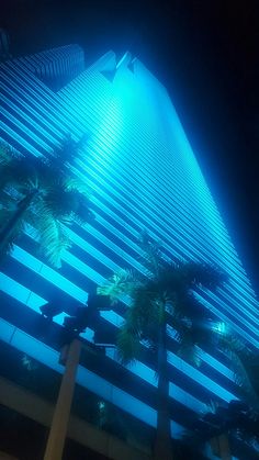 palm trees in front of a tall building with blue lights on the top and bottom