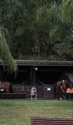 two brown horses standing next to each other on a lush green field