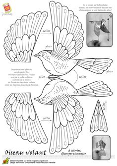 the diagram shows how to make an origami bird with wings and beaks