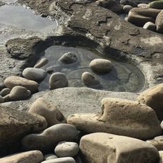 some rocks and water on the ground