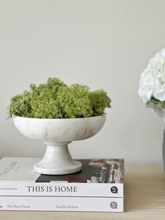 a white vase filled with green moss sitting on top of a table next to a stack of books