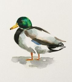 a watercolor painting of a mallard duck standing on the ground with its head turned to the side