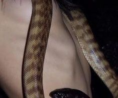 a close up of a snake on the back of a person's body with it's tongue out