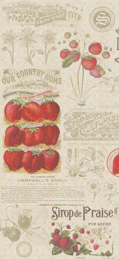 an advertisement for strawberries from the early 1900's, with images of strawberries