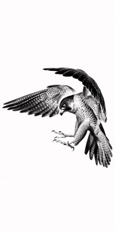 an eagle flying through the air with its wings spread