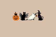 three black cats and two white bats with pumpkins