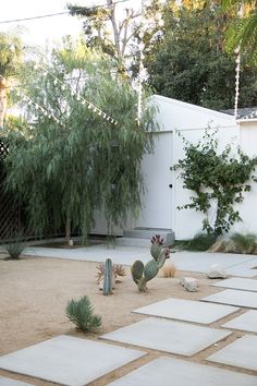 an outdoor area with cactus, rocks and trees