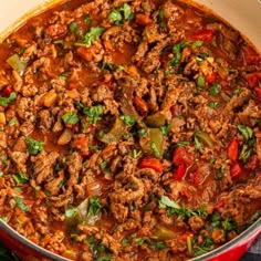 a large pot filled with meat and vegetables