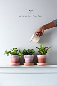 a person is pouring water into some potted plants on top of a mantel