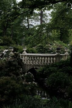 a bridge in the middle of some trees