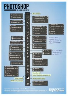 an image of a photo shop with the names and numbers in each section on it