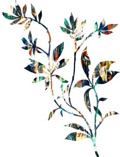 an abstract floral design with leaves and flowers in multicolored colors on a white background