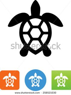 a turtle icon in four different colors