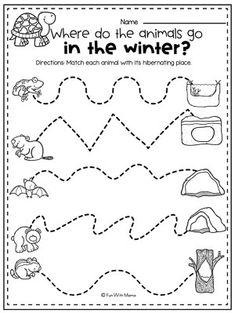 a printable worksheet for preschool to help students learn how to write and draw animals