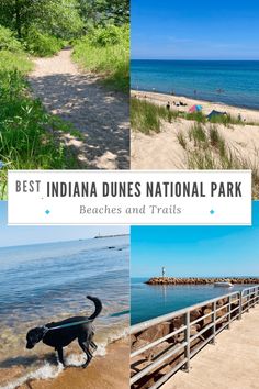 the best indiana dunes national park beaches and trails