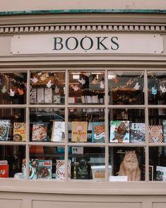 a cat sitting in the window of a book store