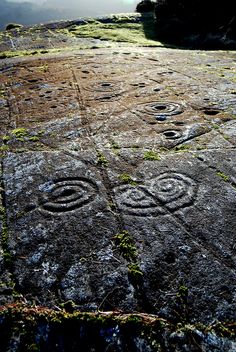 an image of some rocks with designs on them and grass growing up the side of it