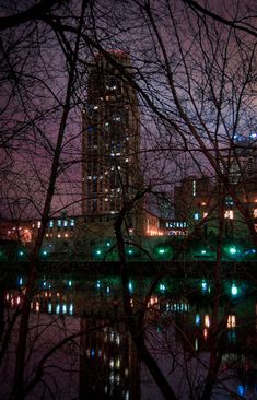 the city is lit up at night with lights reflecting in the water and bare trees