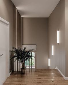 an empty room with a potted plant on the floor