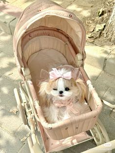 a small dog sitting in a pink stroller