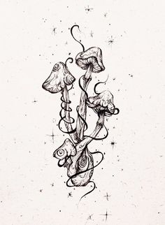 an ink drawing of mushrooms and vines on paper