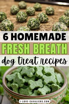 homemade fresh breath dog treat recipe in a bowl