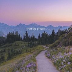 a path leading to the top of a mountain with trees and flowers on it that says trust the process