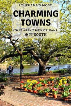 flowers and trees with the words charming towns that aren't new orleans in the south