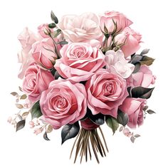 a bouquet of pink roses on a white background