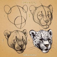 three different types of animals are shown in this drawing technique, including the head of a cheetah, an african lion and a leopard