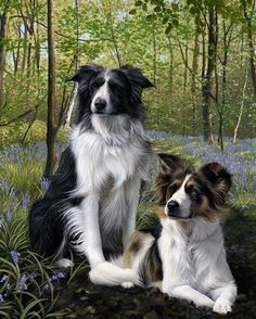 two dogs sitting next to each other on the ground in front of bluebells