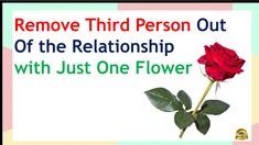 a red rose with the words remove third person out of the relationship with just one flower