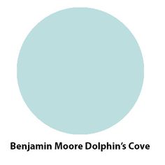 a blue circle with the words benjam more dolphin's cove on it