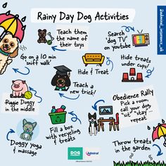 an illustrated poster with many things to do in the rain and other things to see