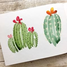 two watercolor paintings of cactuses with bows on their heads, one is green and the other is red