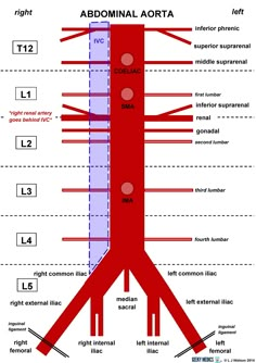 the diagram shows how many different types of aircraft are being flown in order to fly