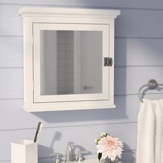 a bathroom sink with a medicine cabinet above it and a towel rack on the wall