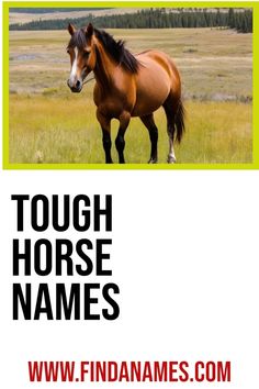 a brown horse standing on top of a lush green field