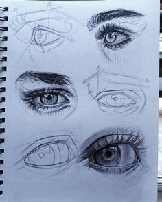 an open notebook with several different types of eyes and their parts drawn in pencil on paper