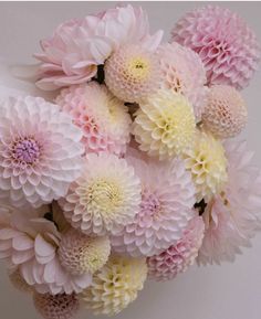 a bunch of pink and yellow flowers on a white surface