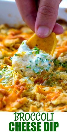 broccoli cheese dip being dipped with a tortilla chip in a casserole dish