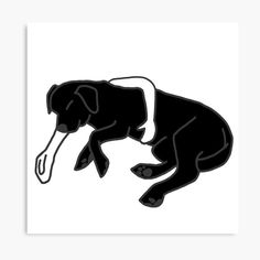 an elephant with a fish in its mouth on a white background canvas print, black and white