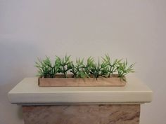 there is a planter on top of a marble shelf with green plants in it