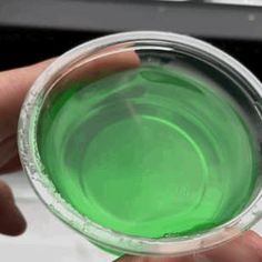 a hand holding a green substance in front of a computer