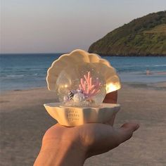 a person holding up a bowl with shells in it on the beach next to the ocean