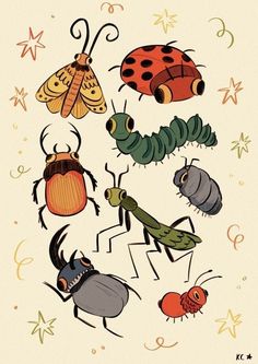 an image of bugs and insects on a white background