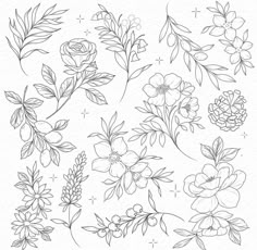 flowers and leaves drawn in black ink on white paper